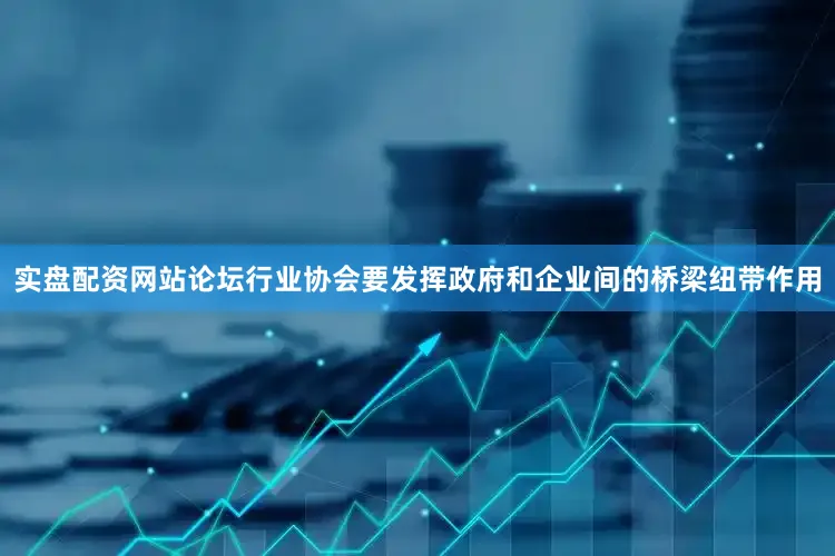 实盘配资网站论坛行业协会要发挥政府和企业间的桥梁纽带作用